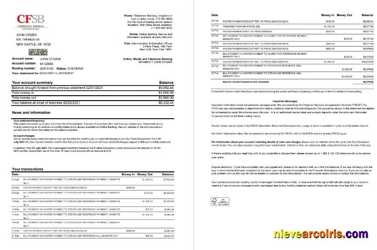 USA New York CFSB 2 pages excel
